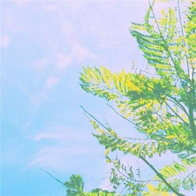 皇冠新体育app下载手机版